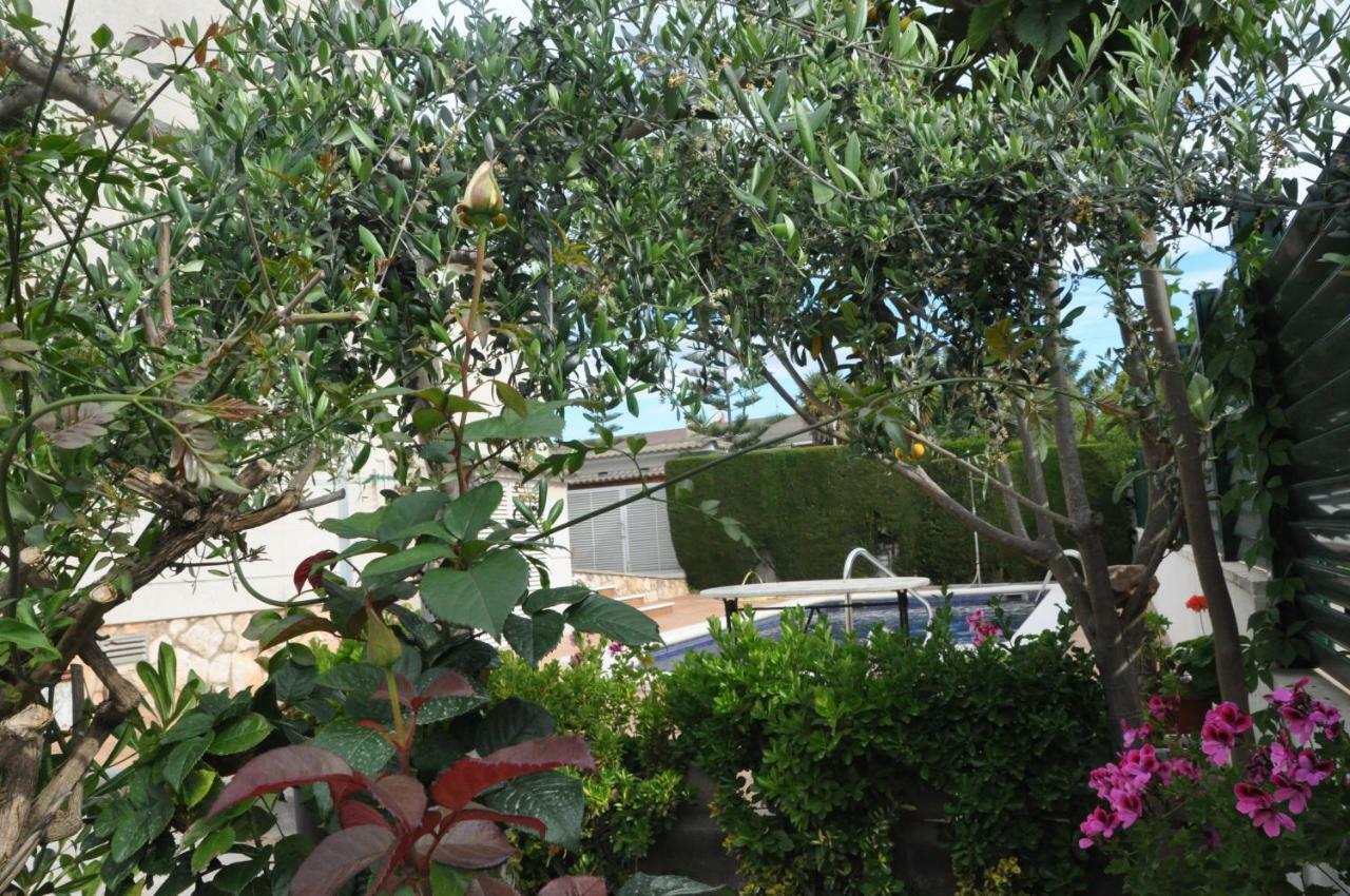 Tenis Roda De Bara Exterior photo